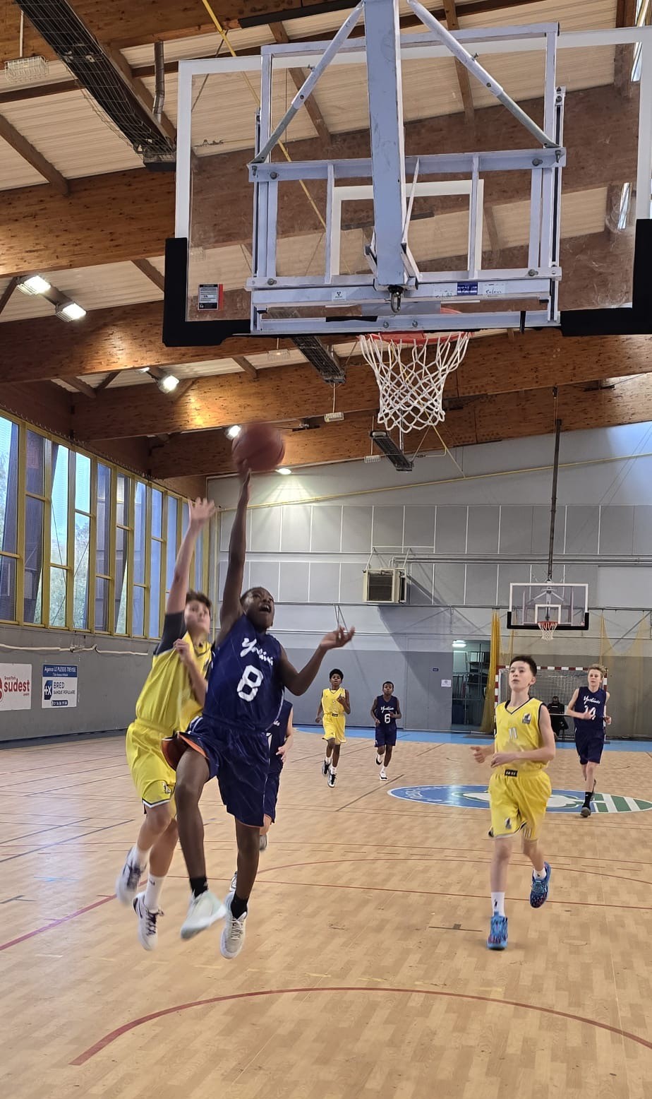 d8aec219-f867-4711-b4b9-bce0763fe709